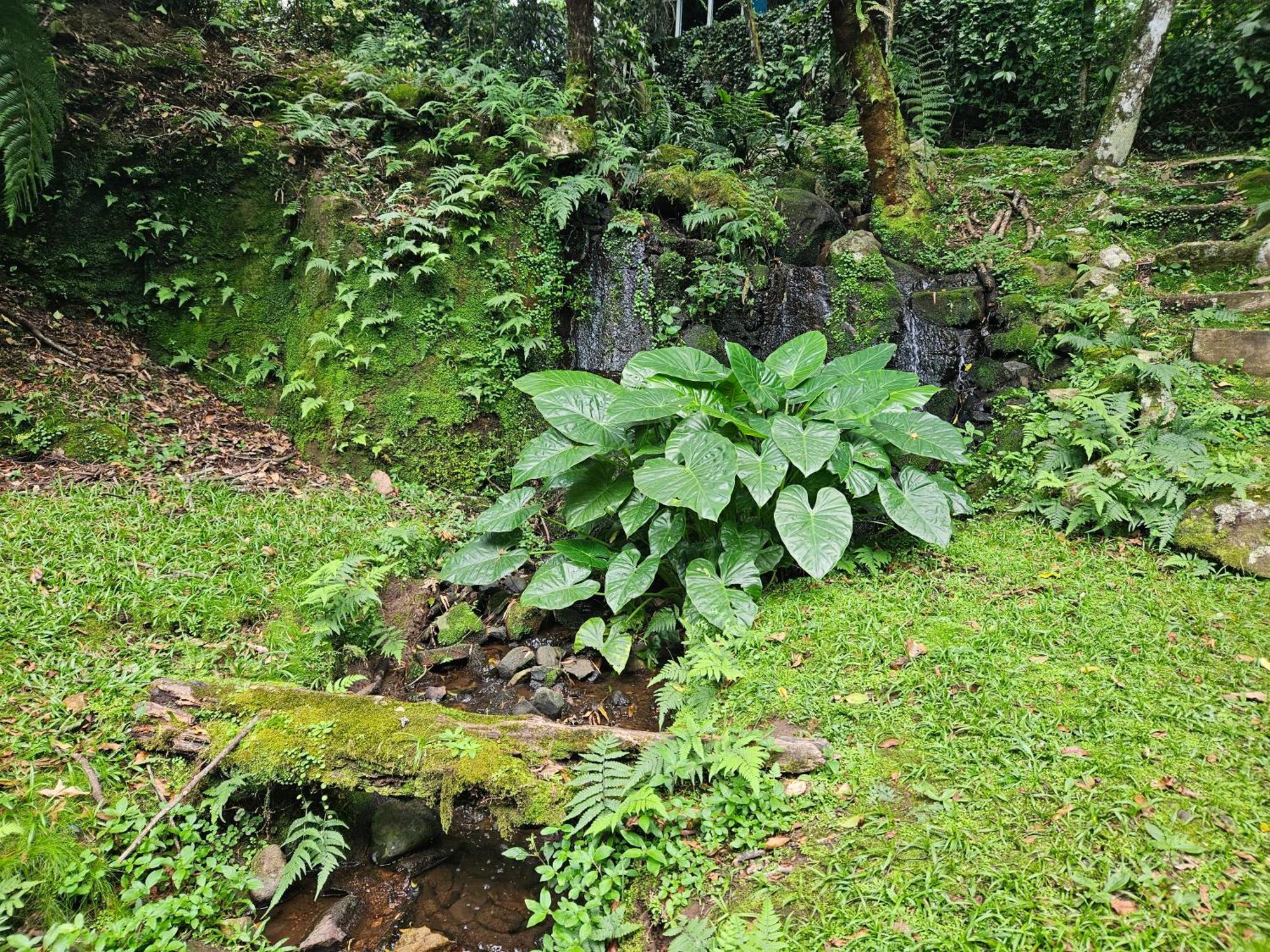 Cantinho Das Oliveiras. Gramado Extérieur photo